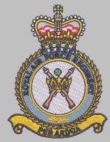 R.A.F Regiment polo shirt